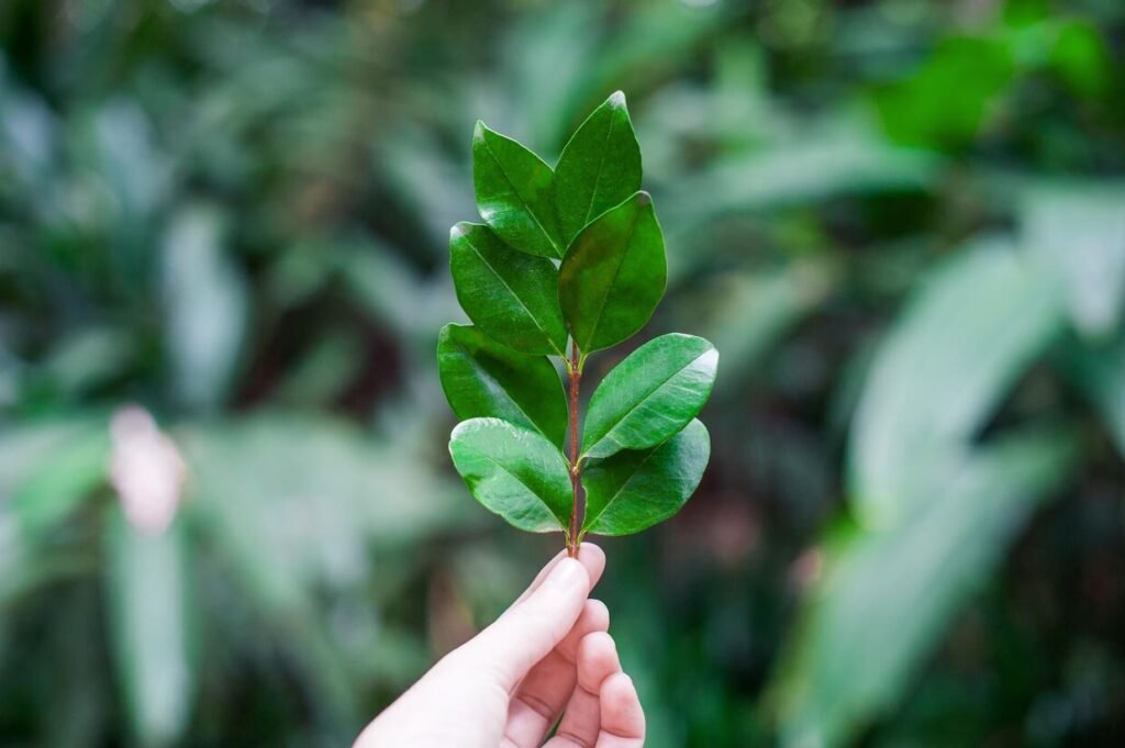 Your Guide to Office Eco Cleaning