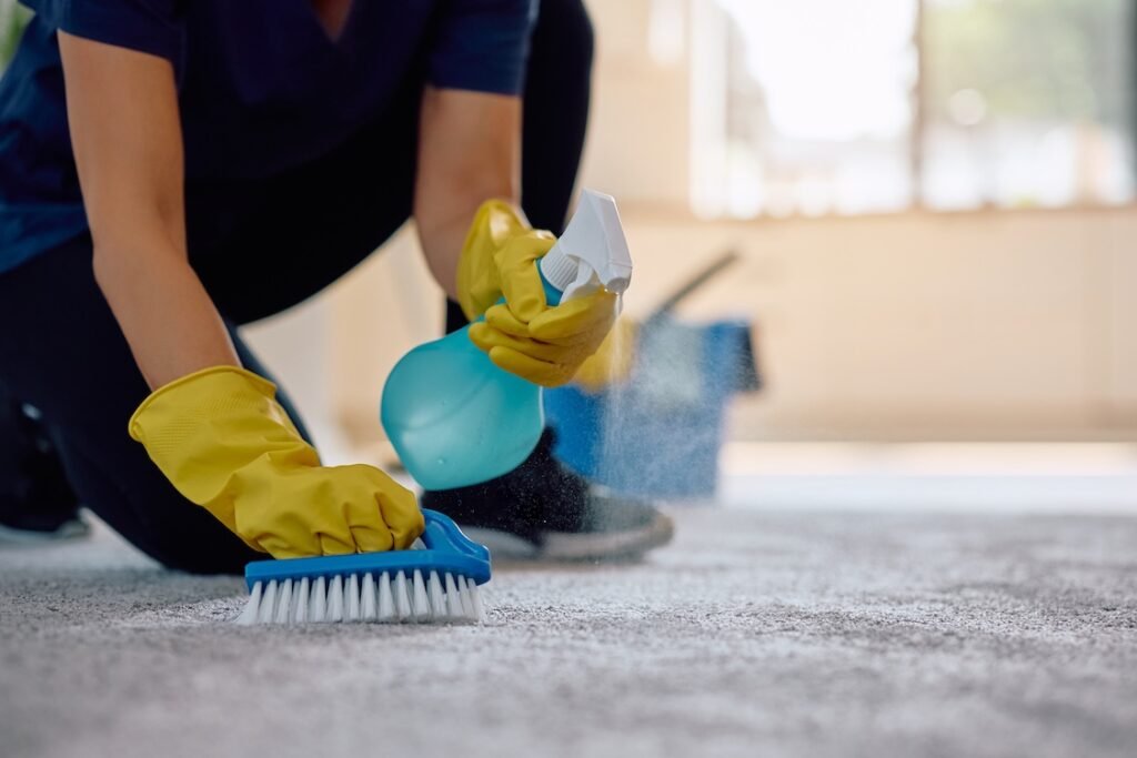 Carpet cleaning services